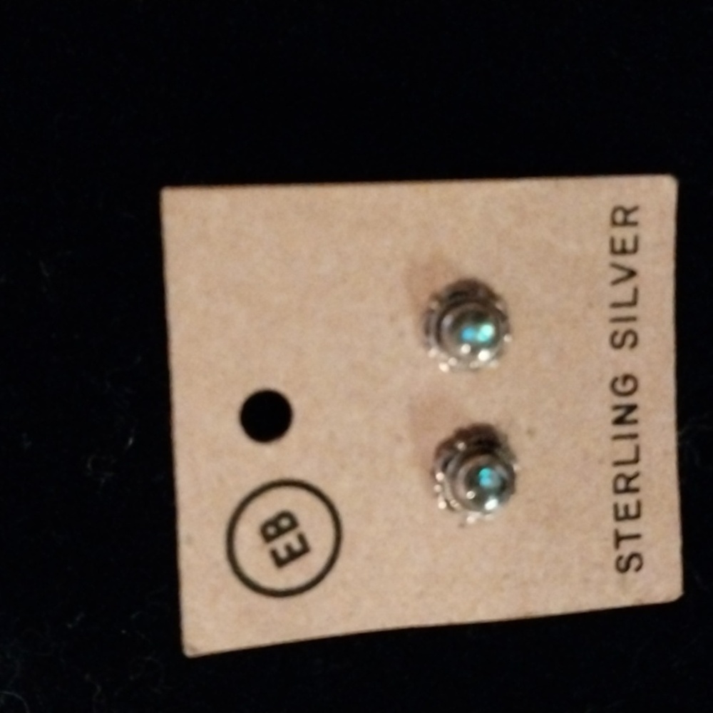 Sterling Silver Teal Stone Stud Earrings
